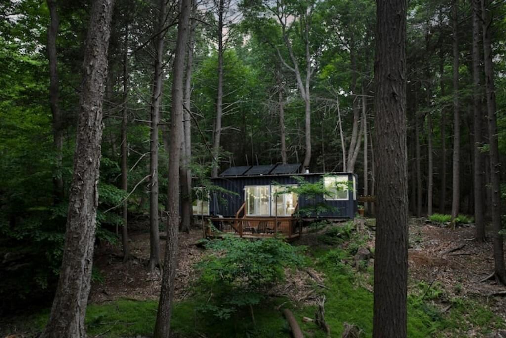 Photo of Outdoor in Saugerties