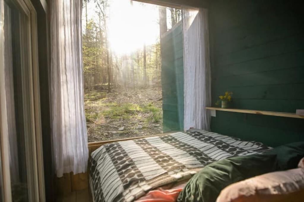 Photo of Bedroom in Saugerties