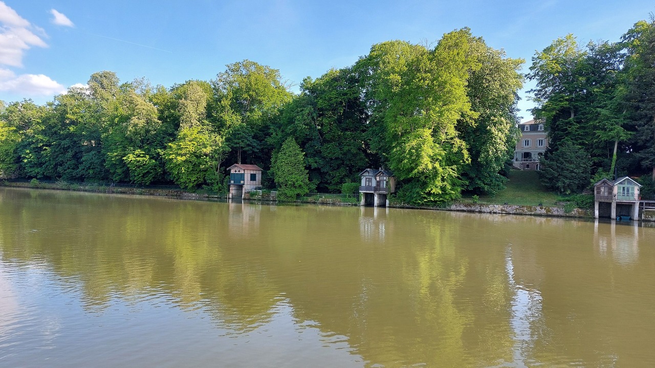 Photo of Others in Olivet