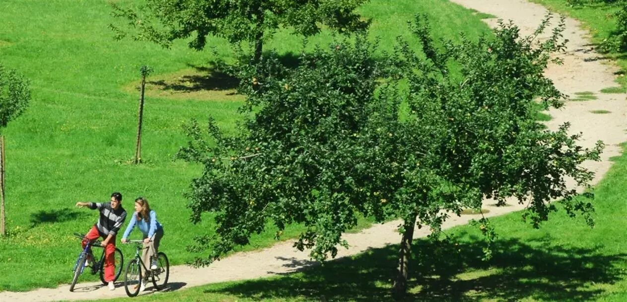 Photo of Others in Jumieges