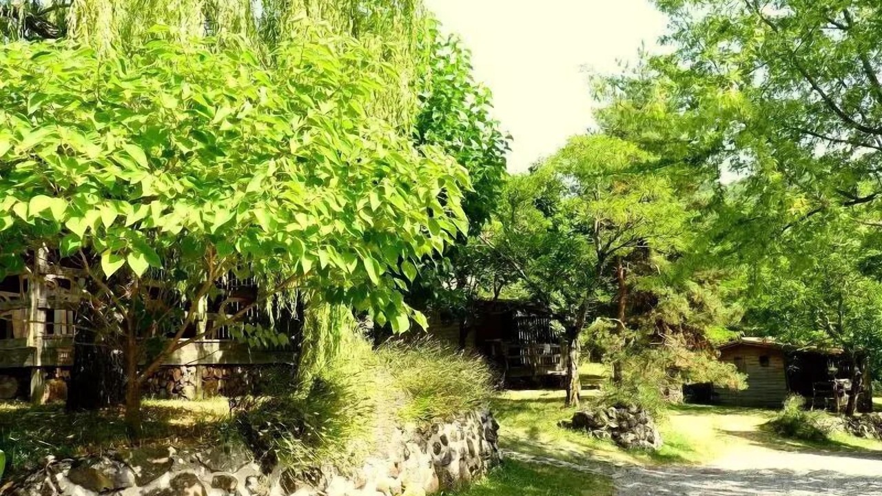 Photo of Outdoor in Darbres