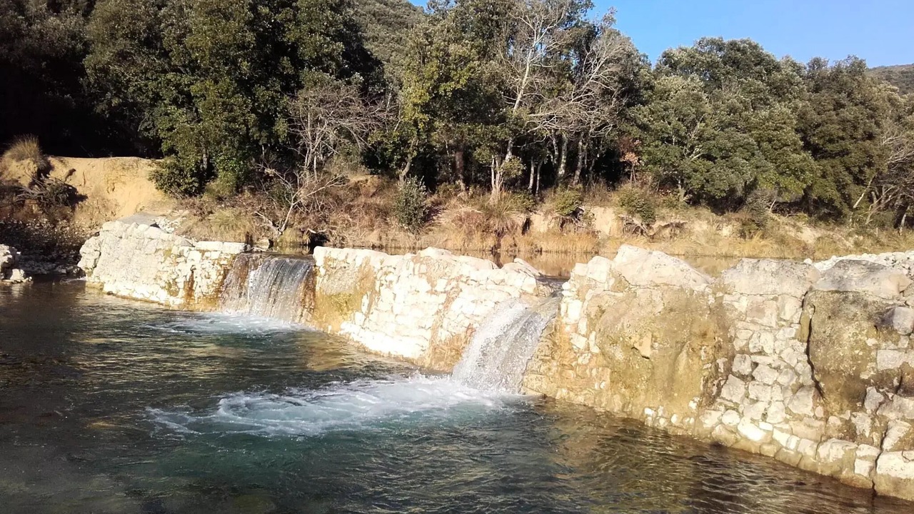 Photo of Others in Darbres