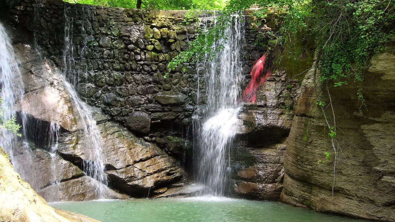 Photo of Others in Darbres