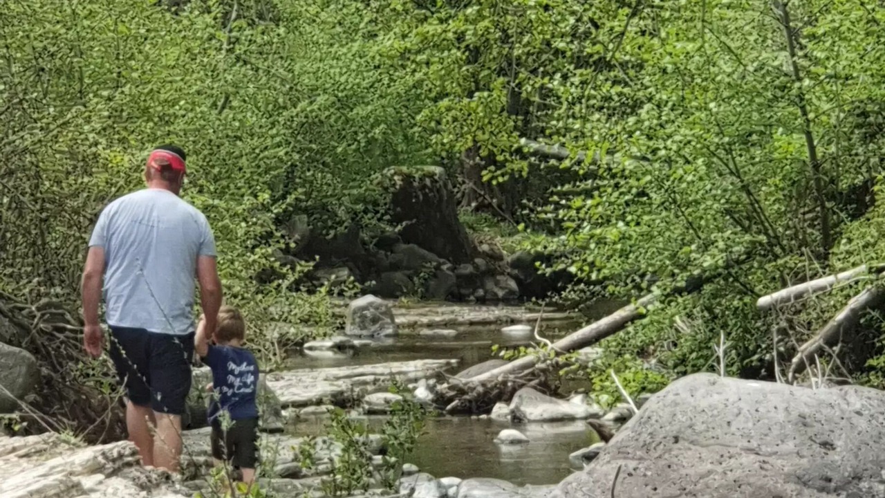 Photo of Others in Darbres