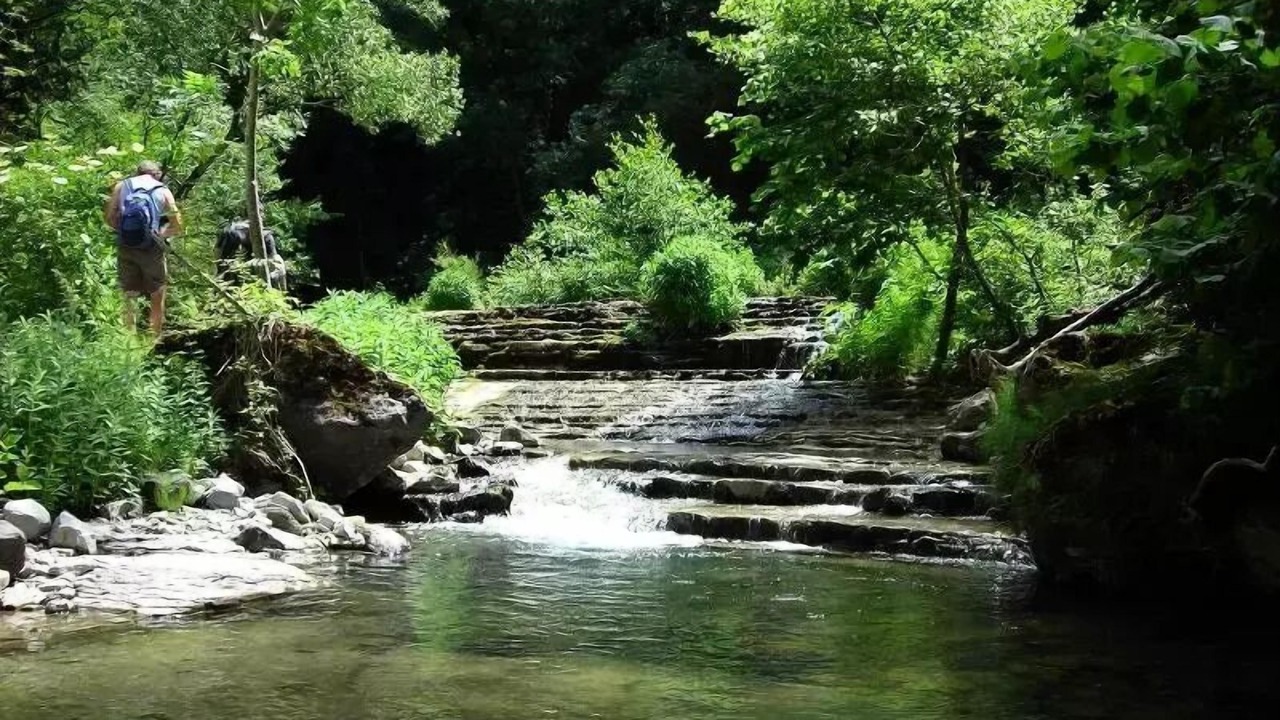 Photo of Others in Darbres