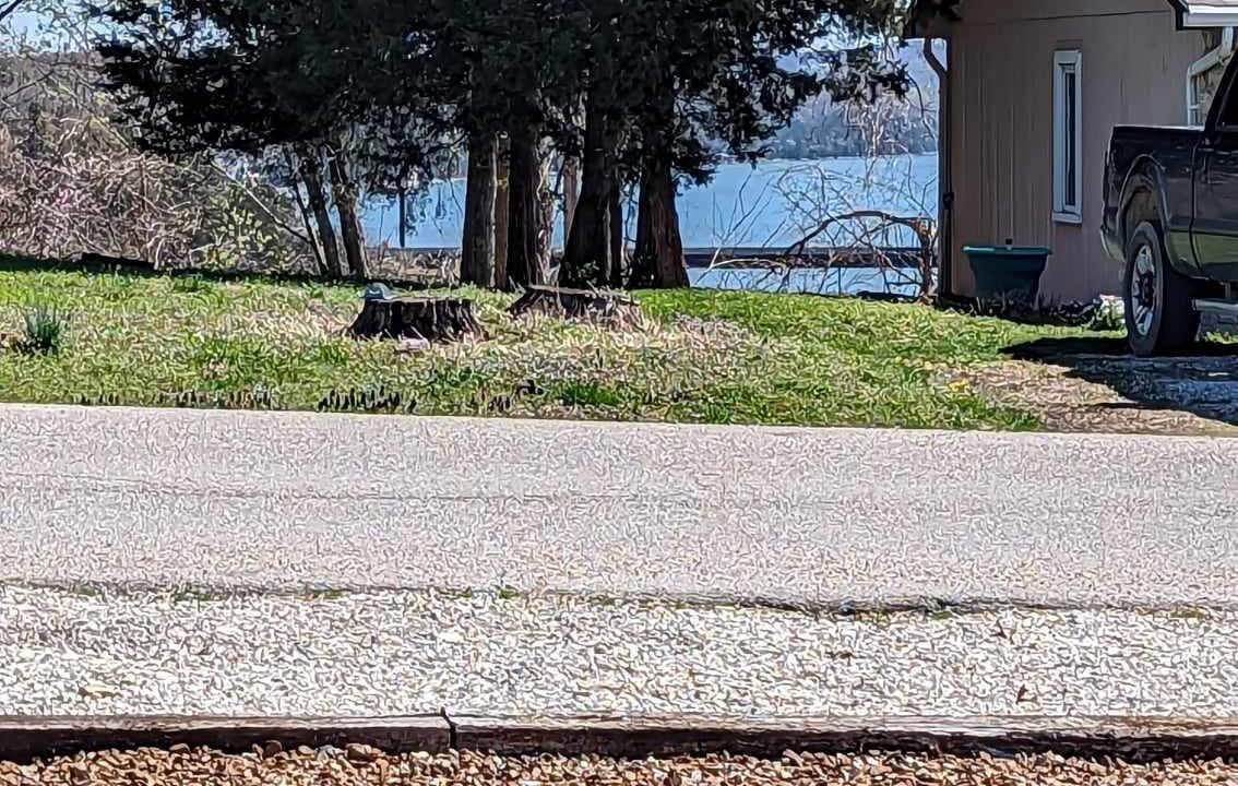 Photo of Outdoor in Camdenton