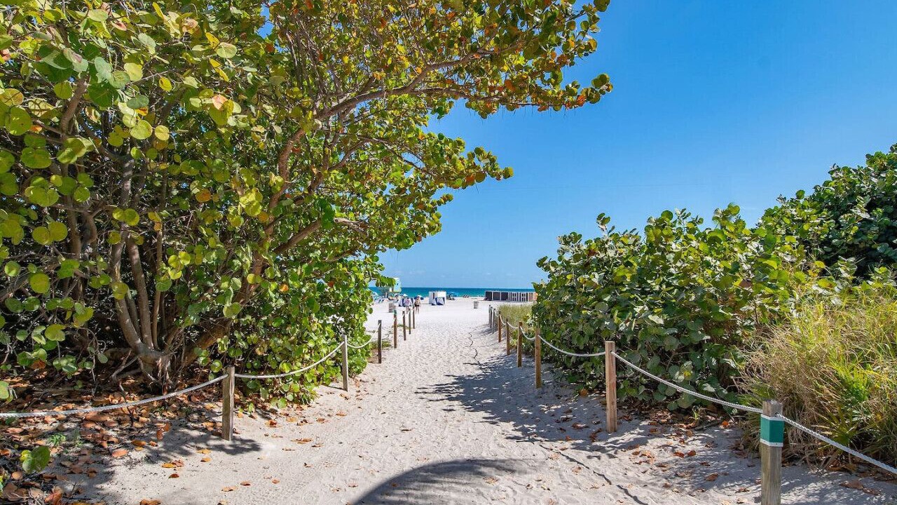 Photo of Others in South Beach