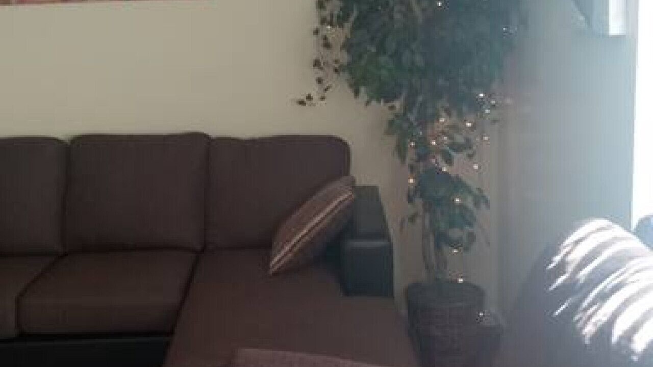 Photo of Livingroom in Niskayuna