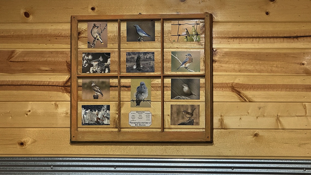 Photo of Others in Cache