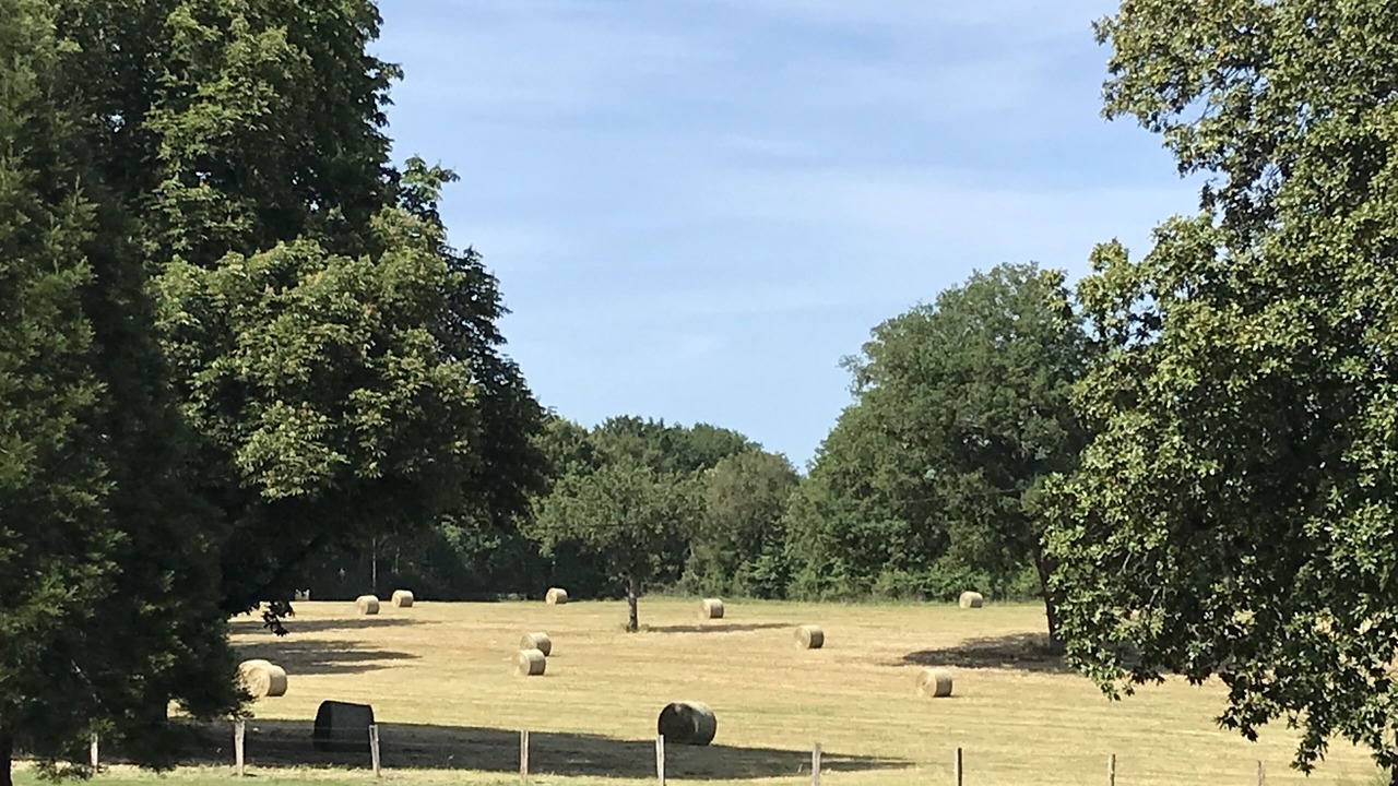 Photo of Others in Jarze