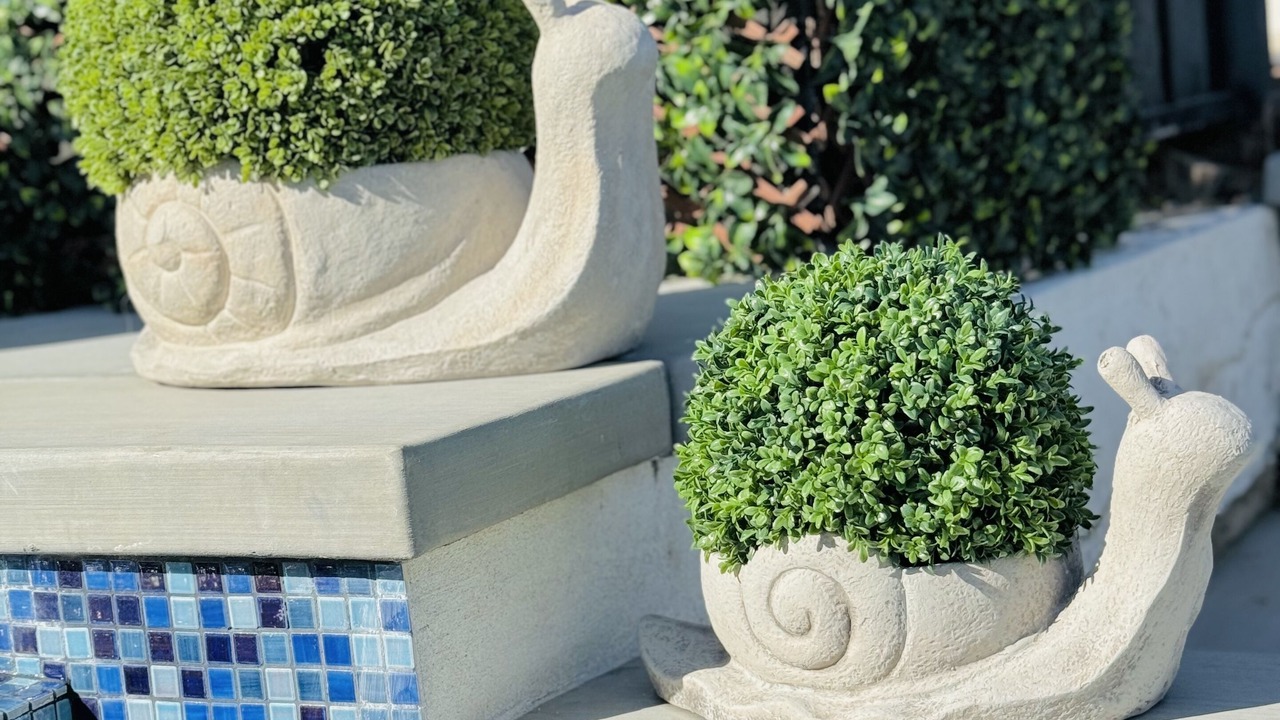 Photo of Outdoor in Terra Lago