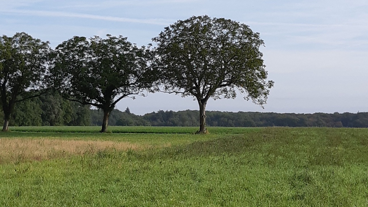 Photo of Others in Chitenay