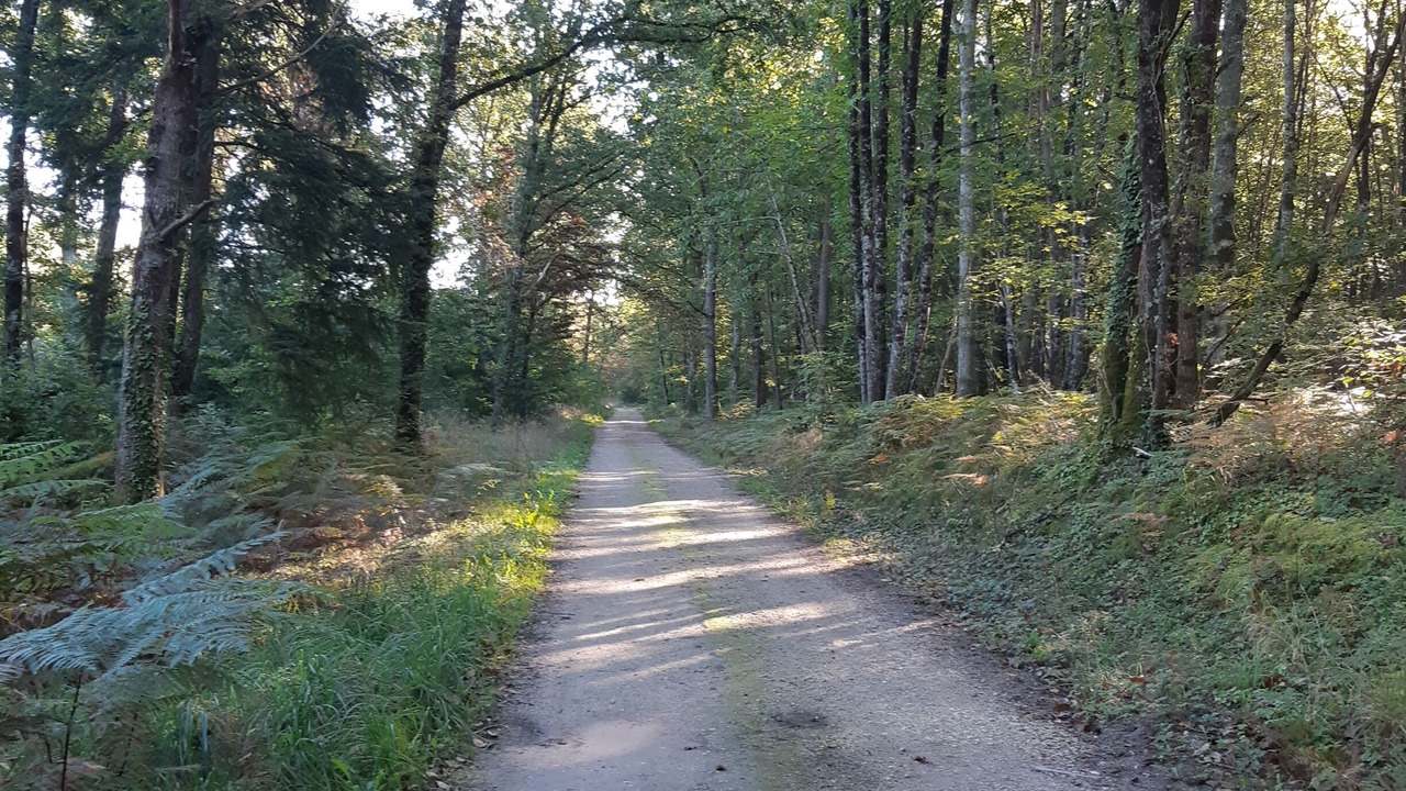 Photo of Others in Chitenay