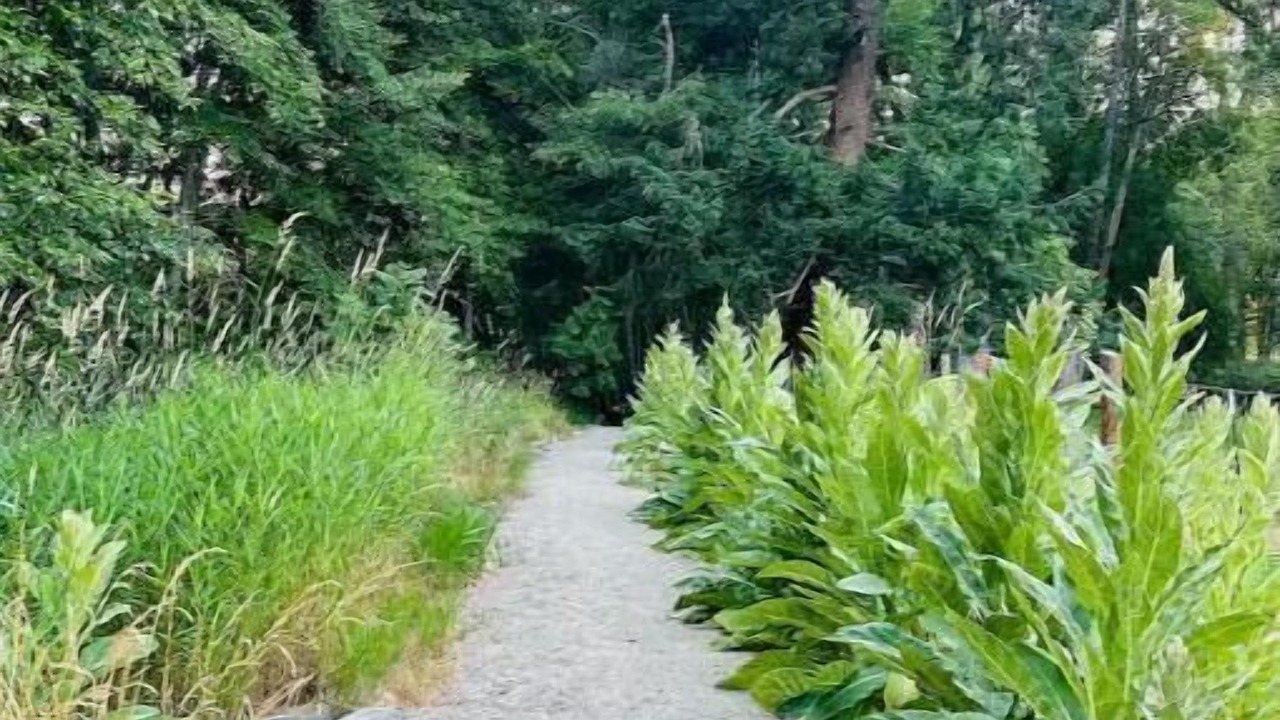 Photo of Others in Jacksonville