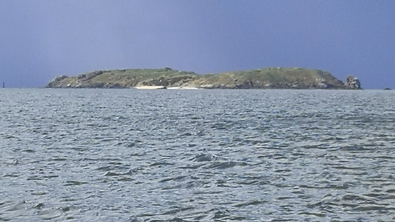 Photo of Others in Dol-de-Bretagne