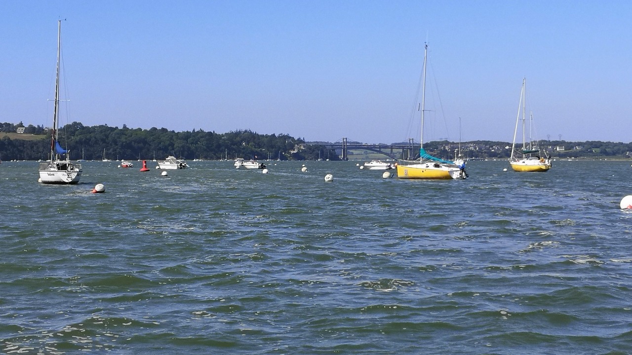 Photo of Others in Dol-de-Bretagne