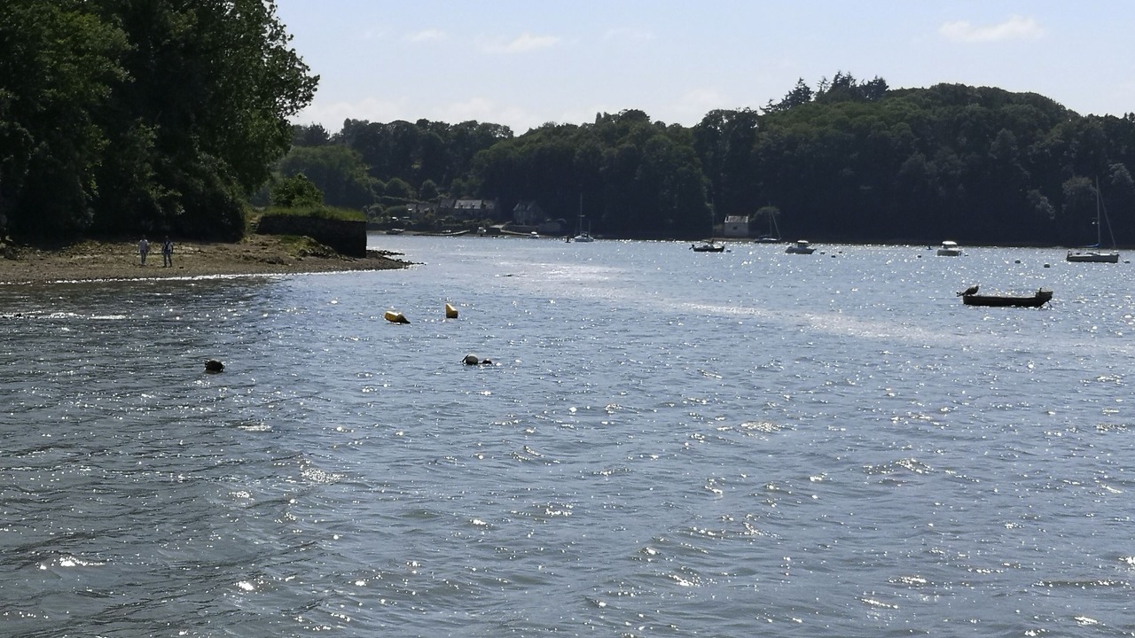 Photo of Others in Dol-de-Bretagne
