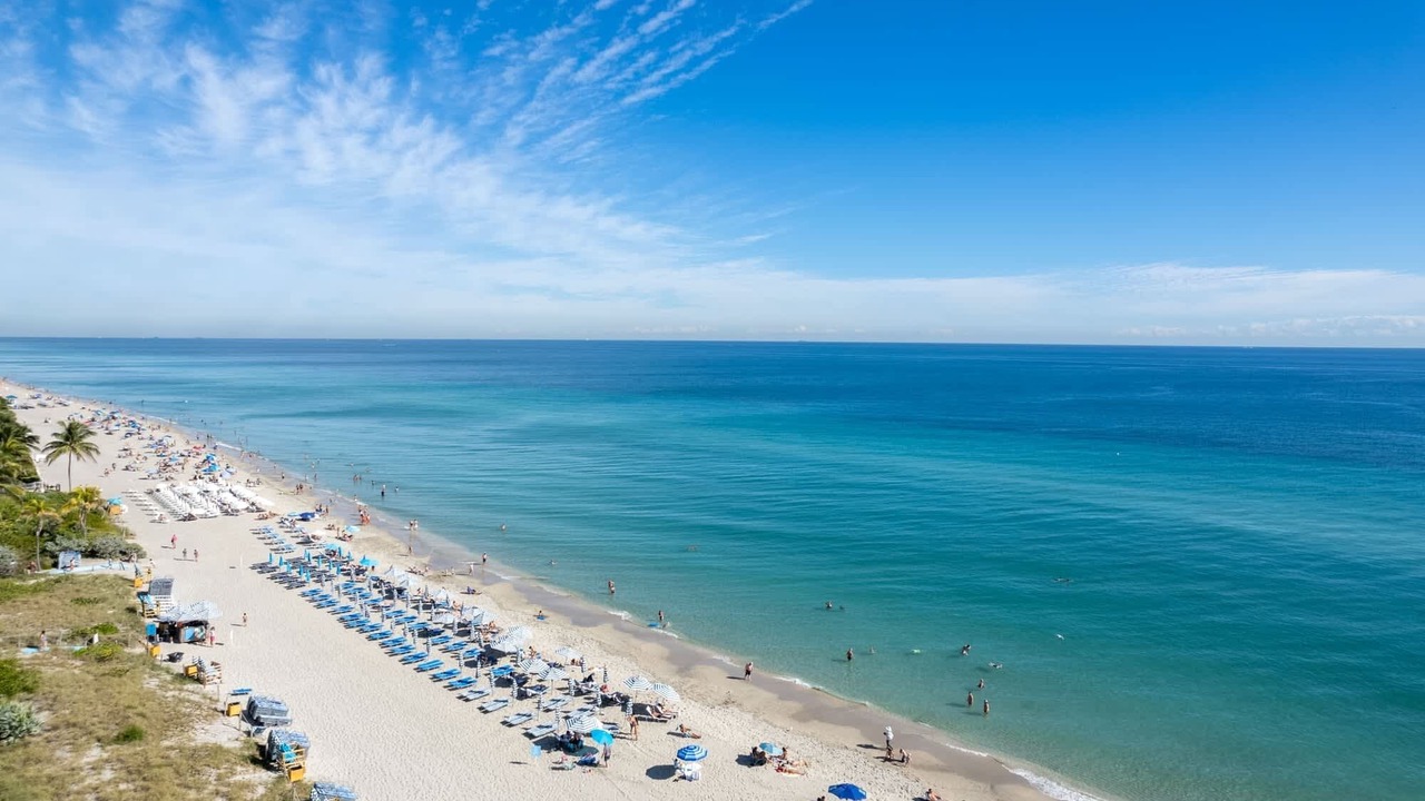 Photo of Others in Hallandale Beach