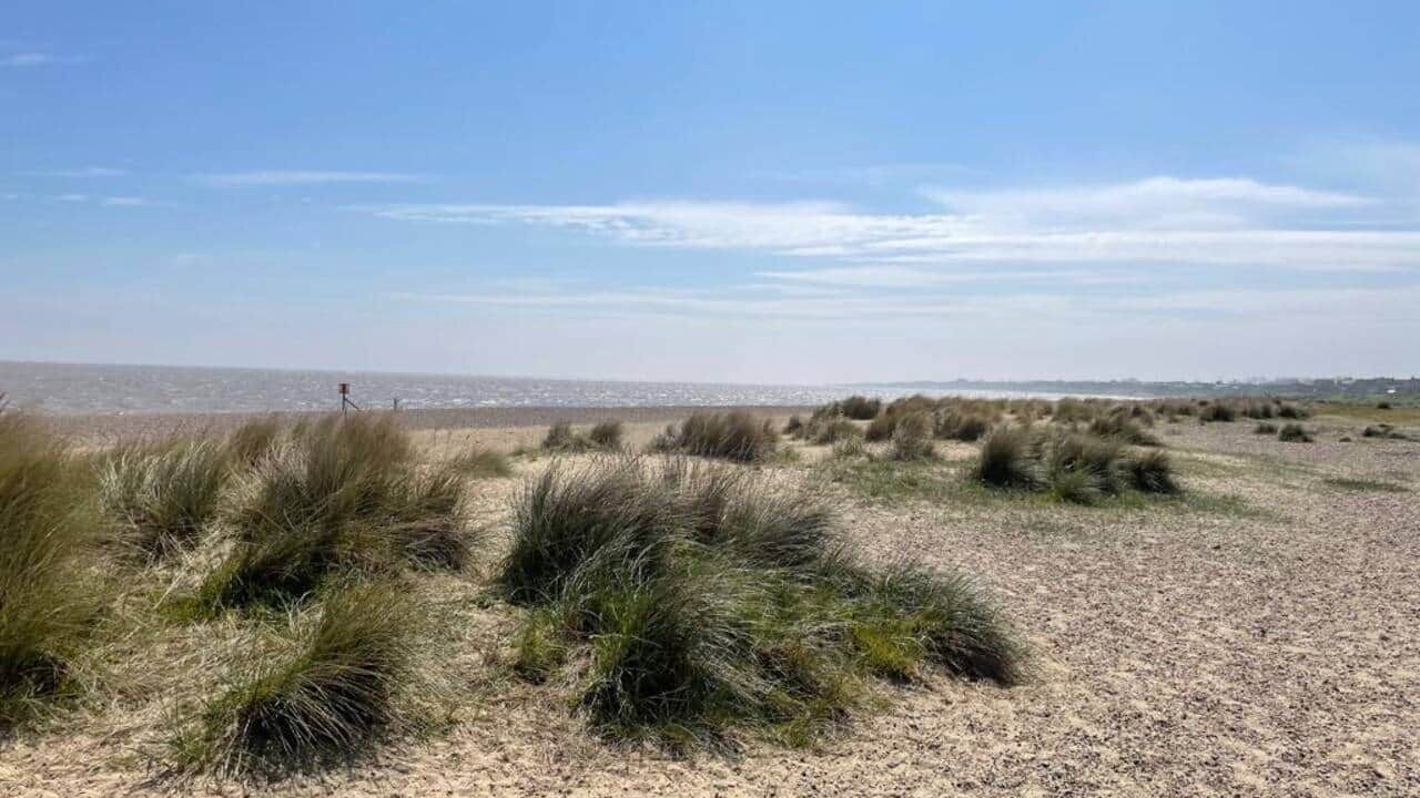 Photo of Others in Pakefield