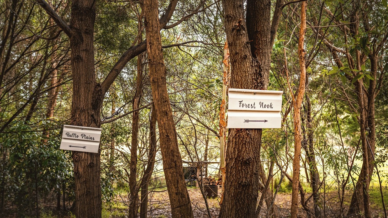 Photo of Outdoor in Buffalo
