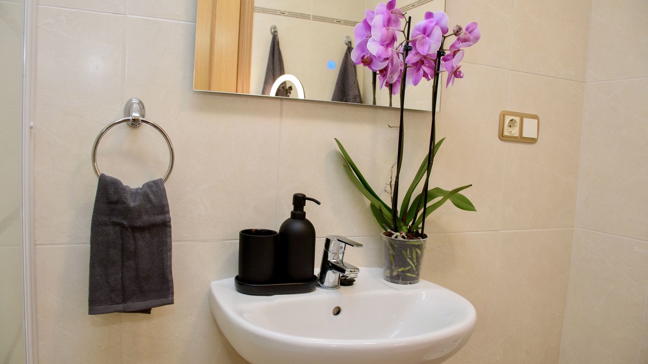 Photo of Bathroom in Pla del Bon Repos