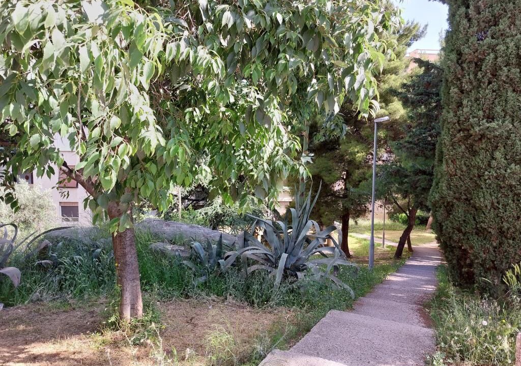 Photo of Outdoor in Vranjic
