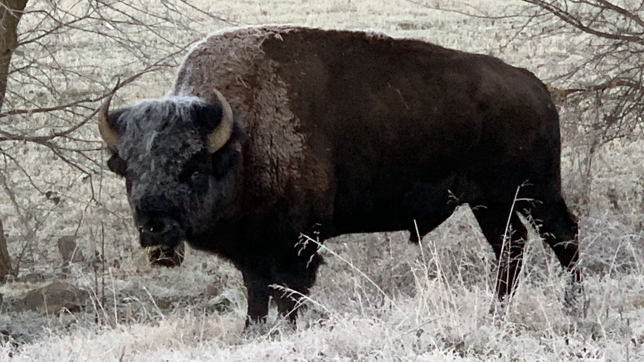 Photo of Outdoor in Stilwell