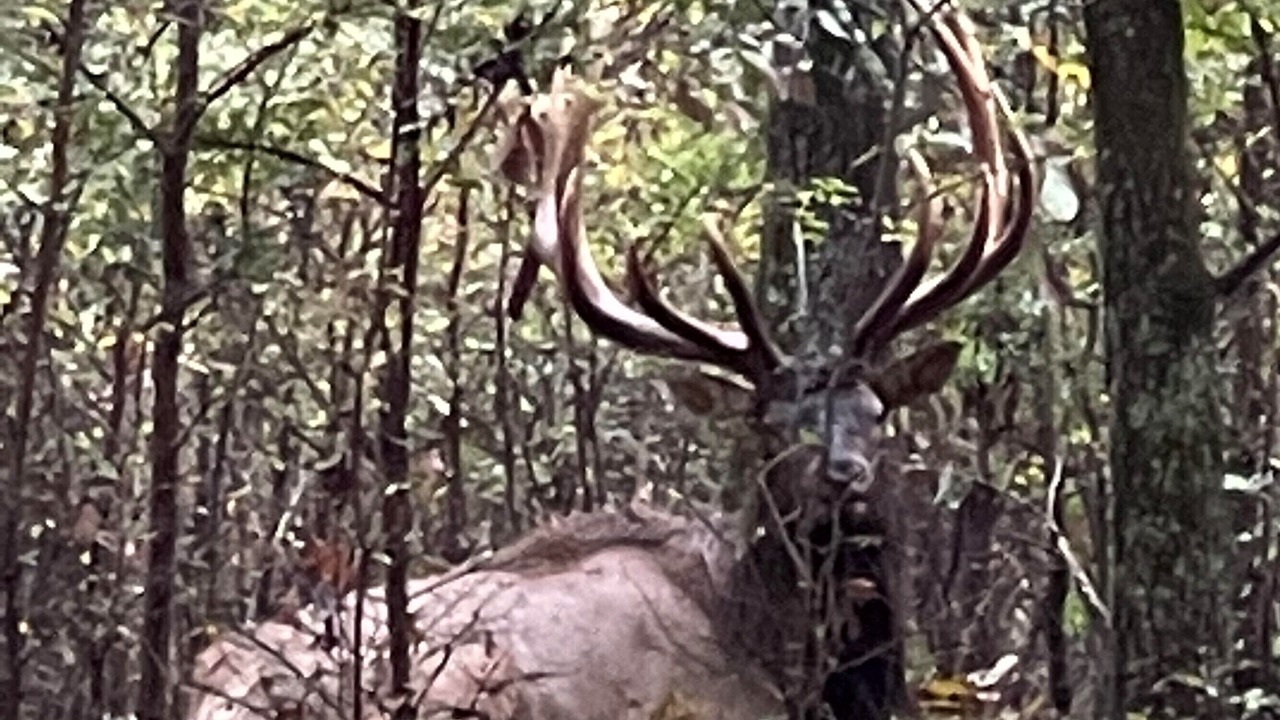 Photo of Outdoor in Stilwell