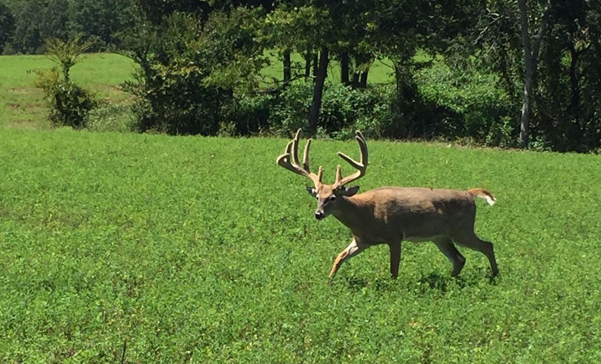 Photo of Outdoor in Stilwell