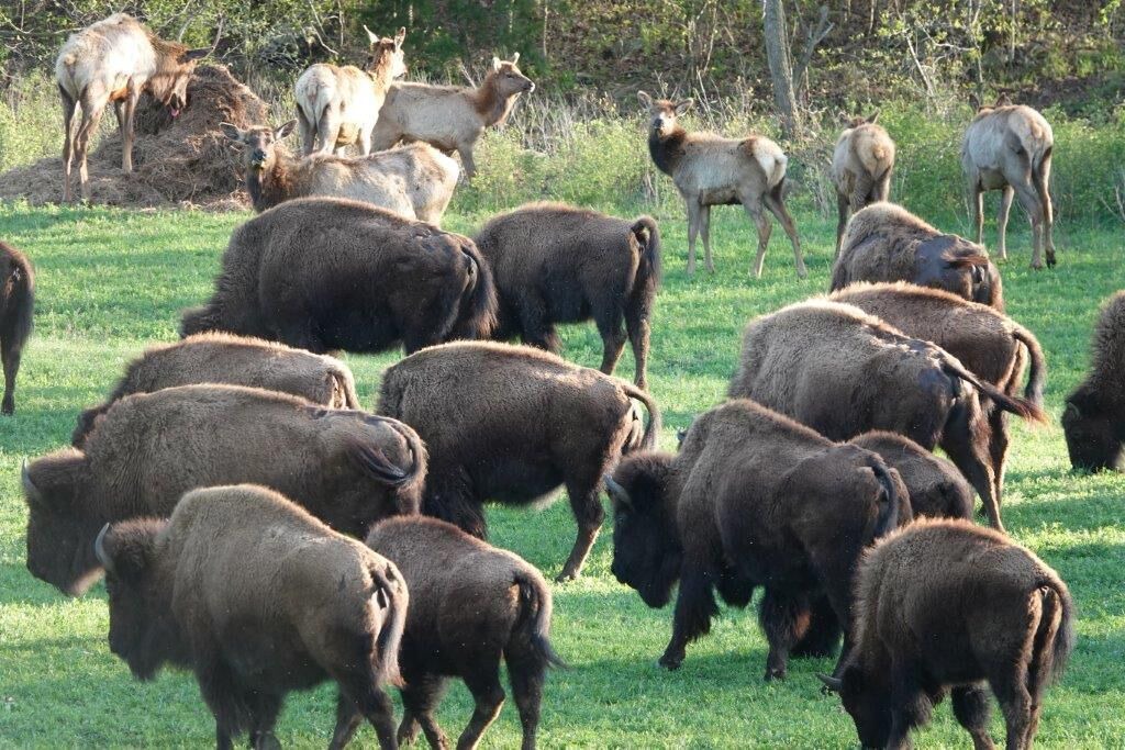 Photo of Others in Stilwell