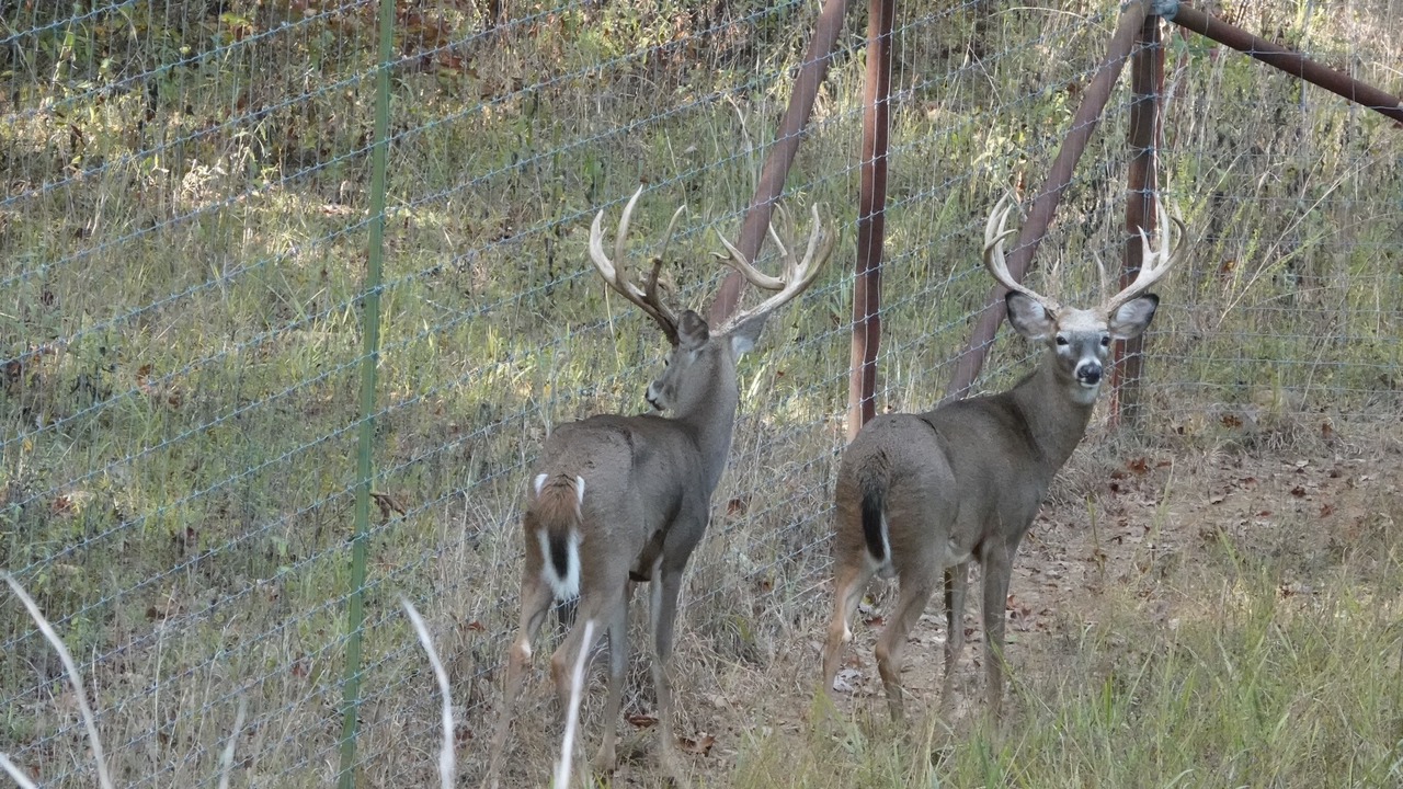 Photo of Others in Stilwell