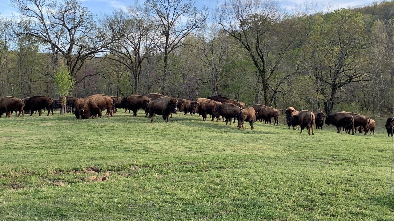 Photo of Outdoor in Stilwell