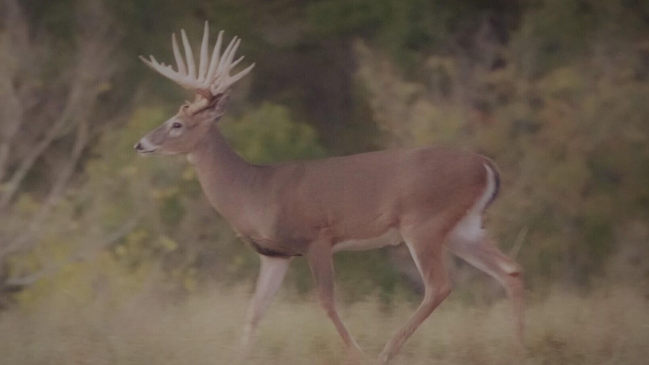 Photo of Others in Stilwell