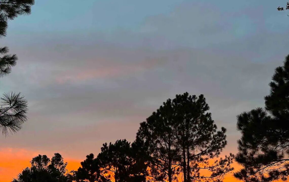 Photo of Others in Deltona Lakes