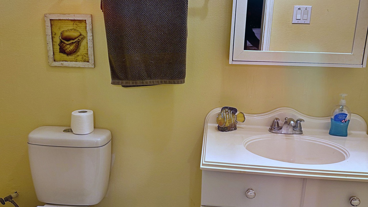 Photo of Bathroom in Surfside Beach