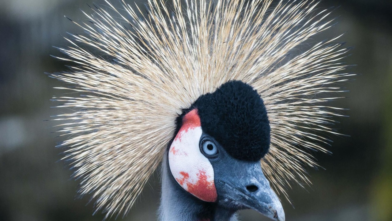 Photo of Others in Pen-y-cae