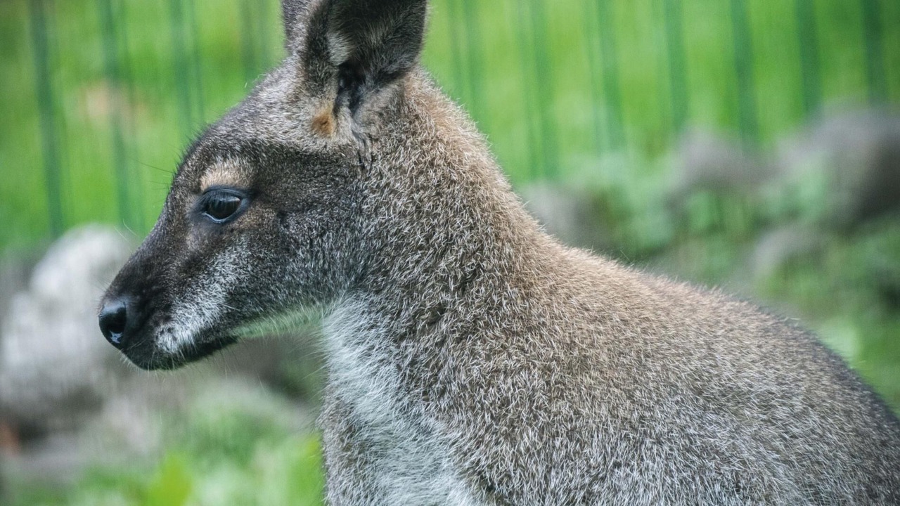 Photo of Others in Pen-y-cae