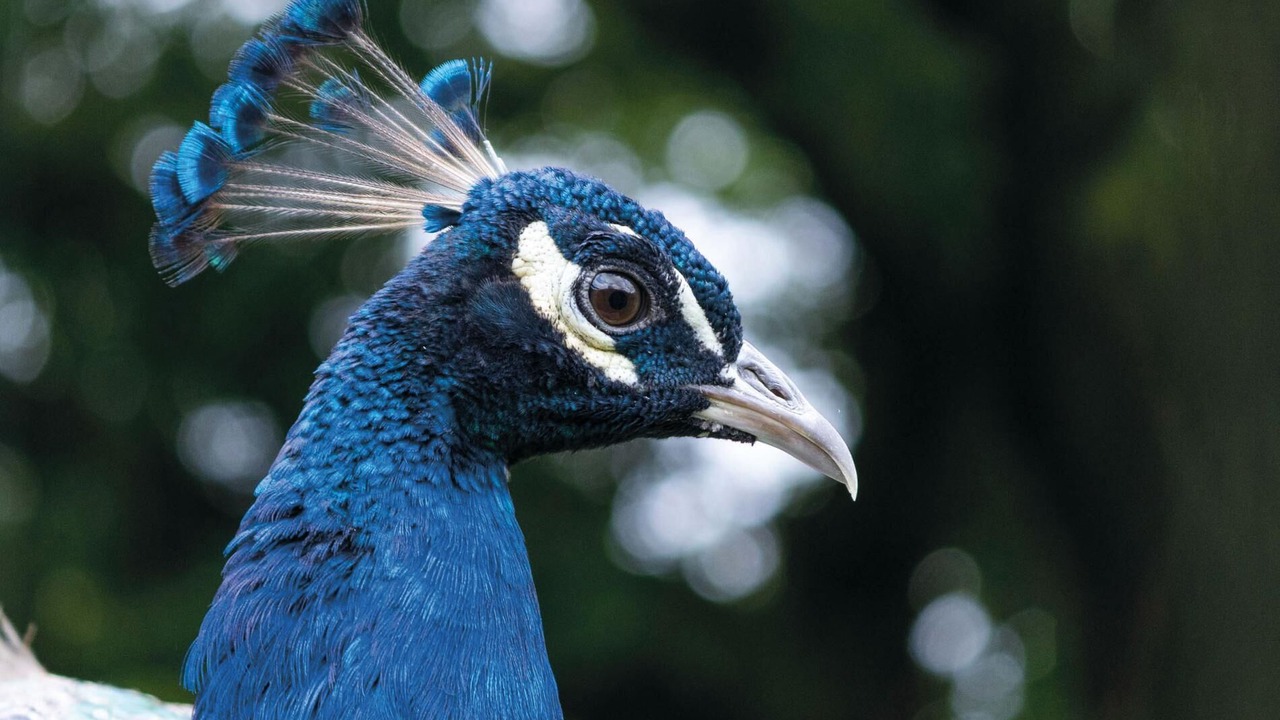 Photo of Others in Pen-y-cae