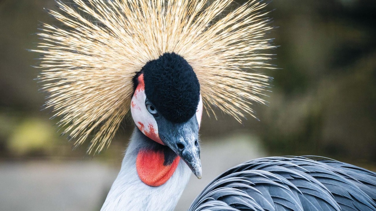 Photo of Others in Pen-y-cae
