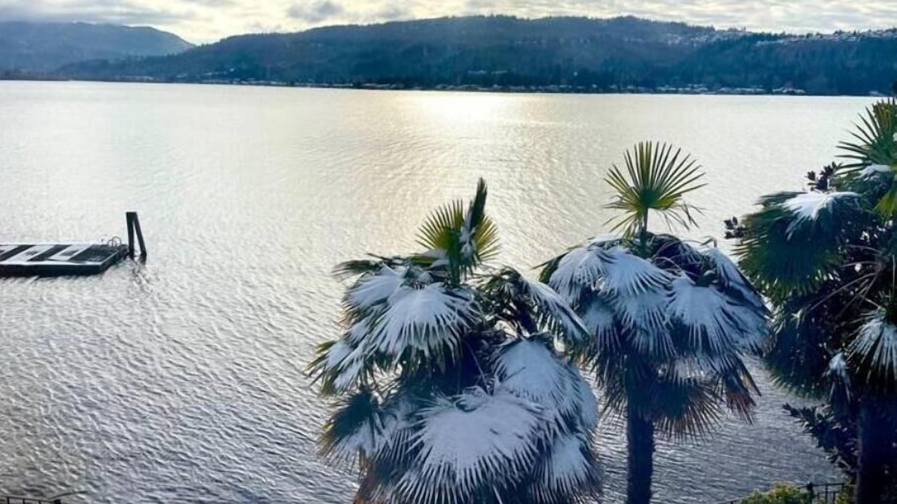 Photo of Outdoor in Sammamish