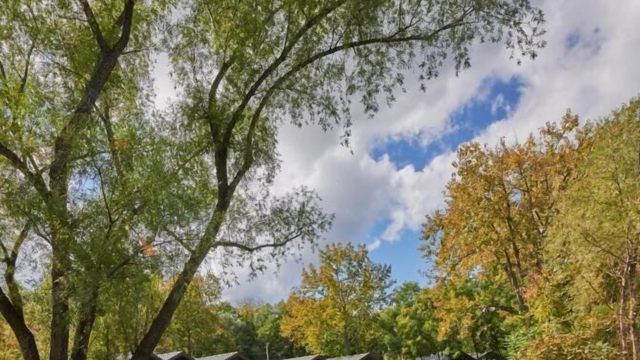 Photo of Outdoor in Kingston