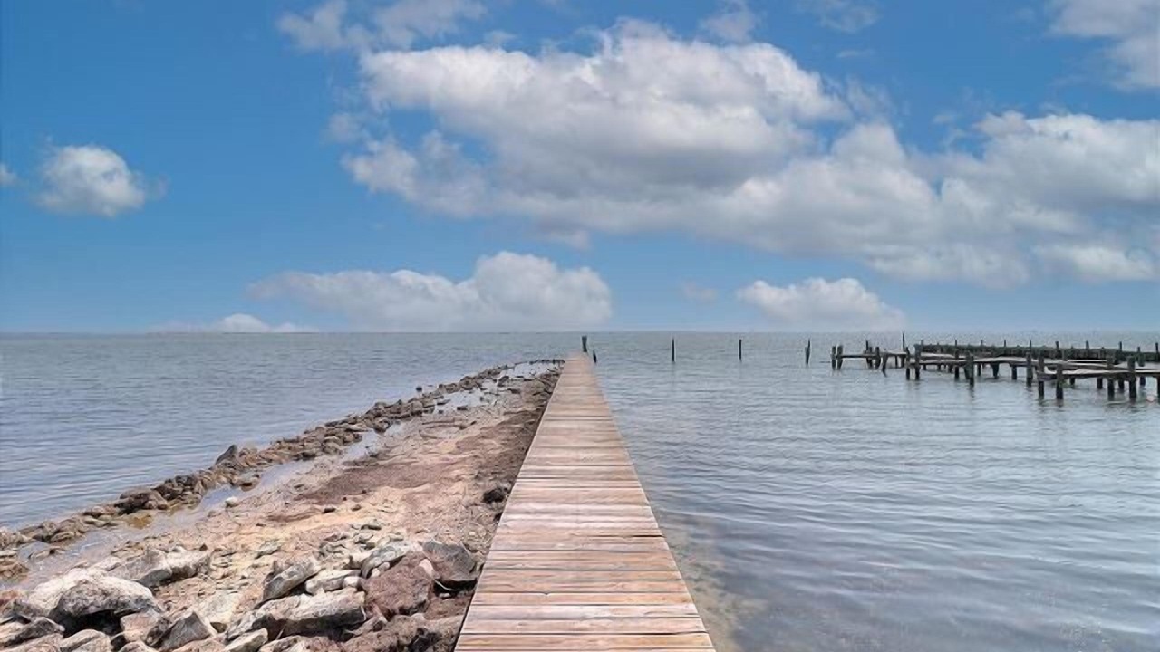 Photo of Others in Flour Bluff