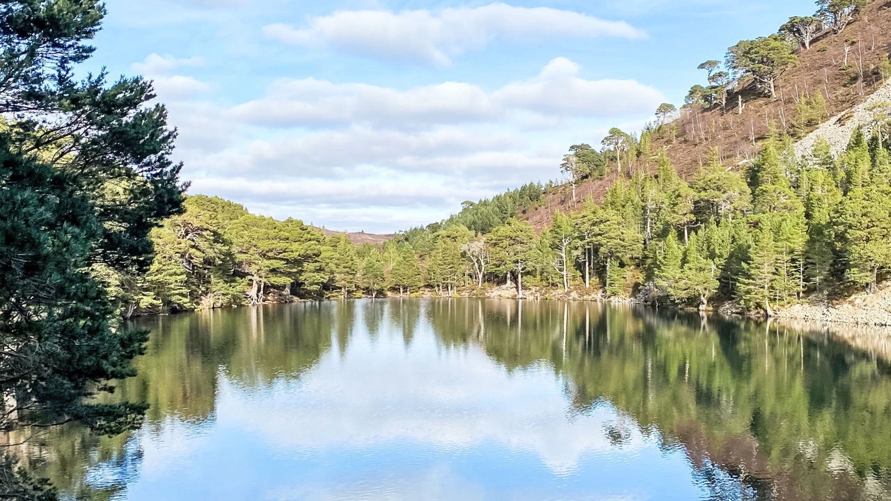 Photo of Others in Alvie