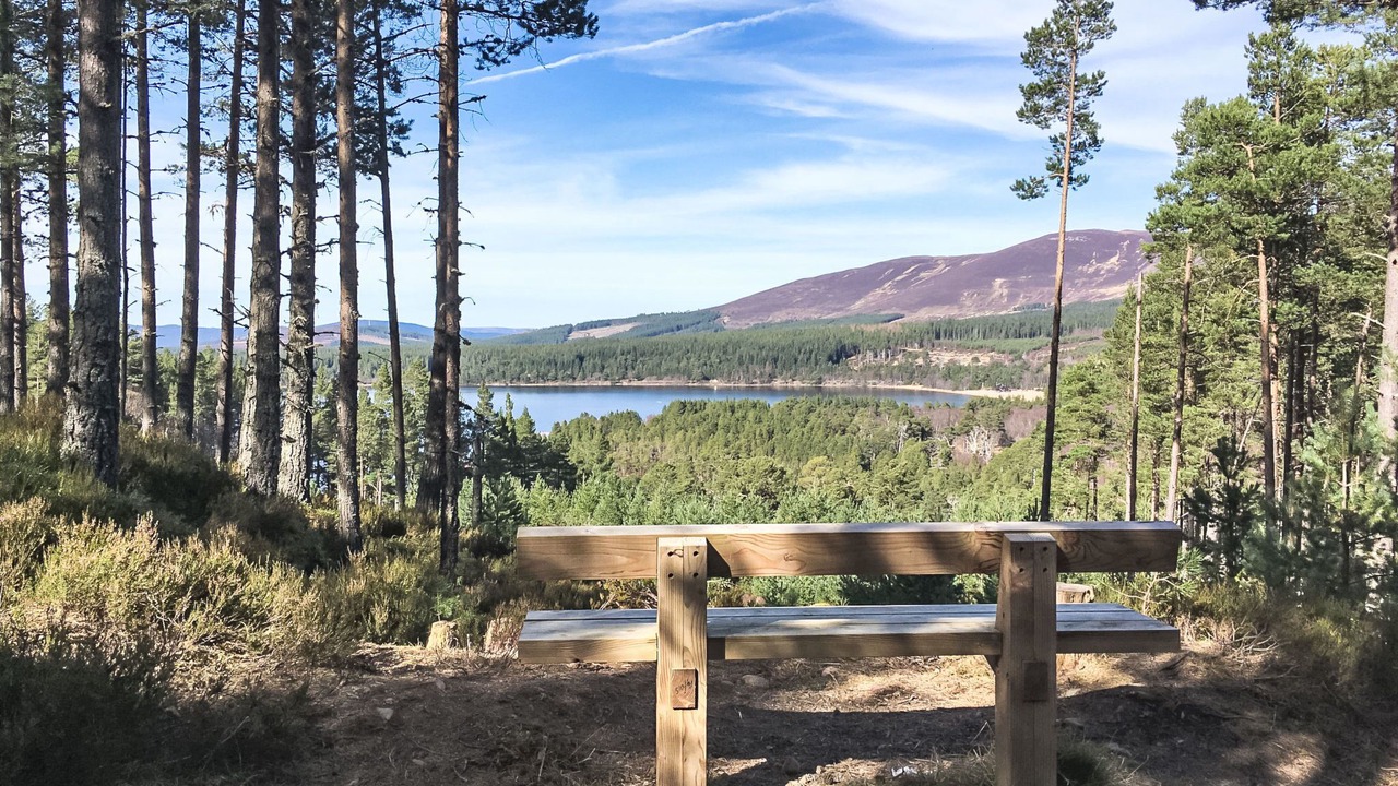 Photo of Others in Alvie