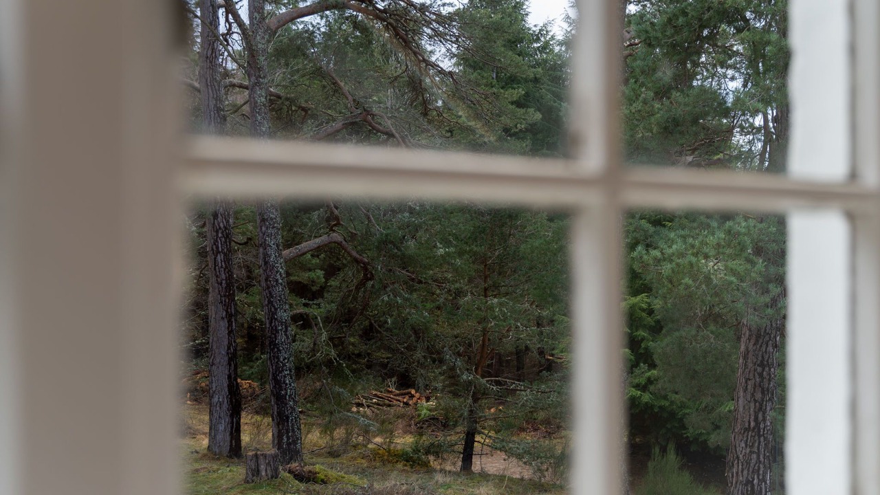 Photo of Others in Alvie