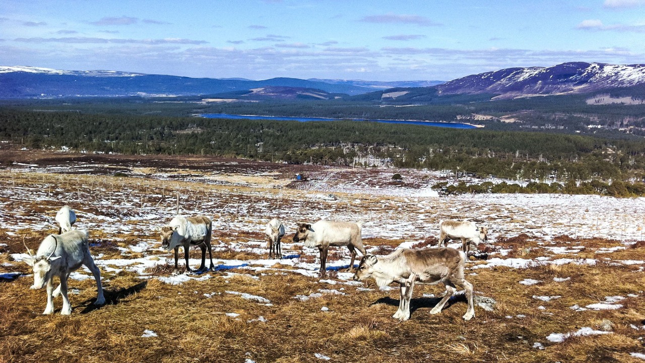 Photo of Others in Alvie