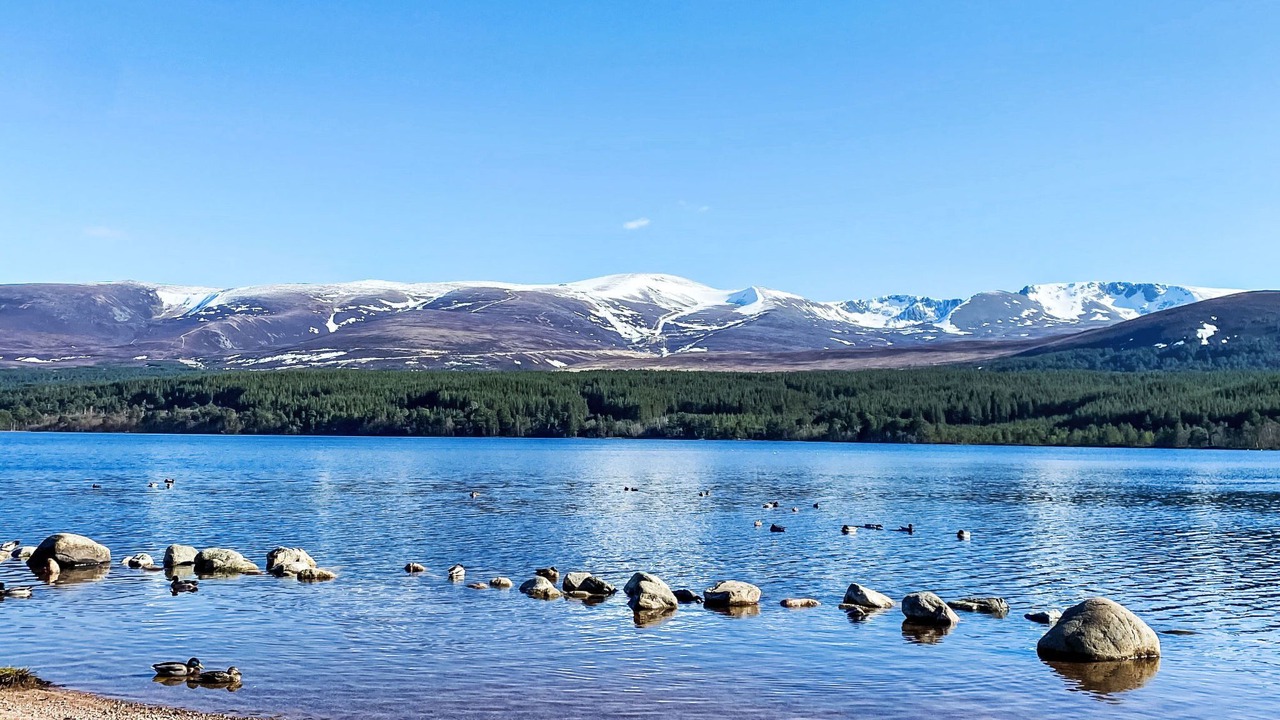 Photo of Others in Alvie