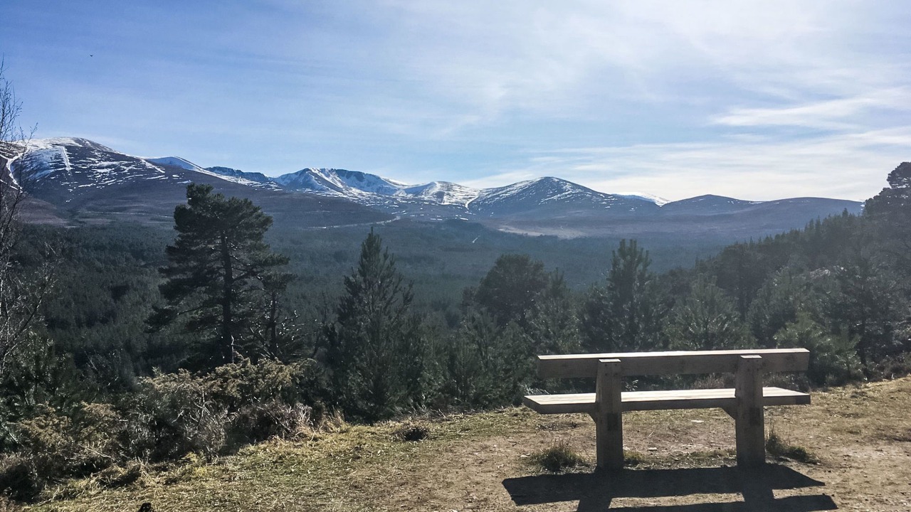 Photo of Others in Alvie