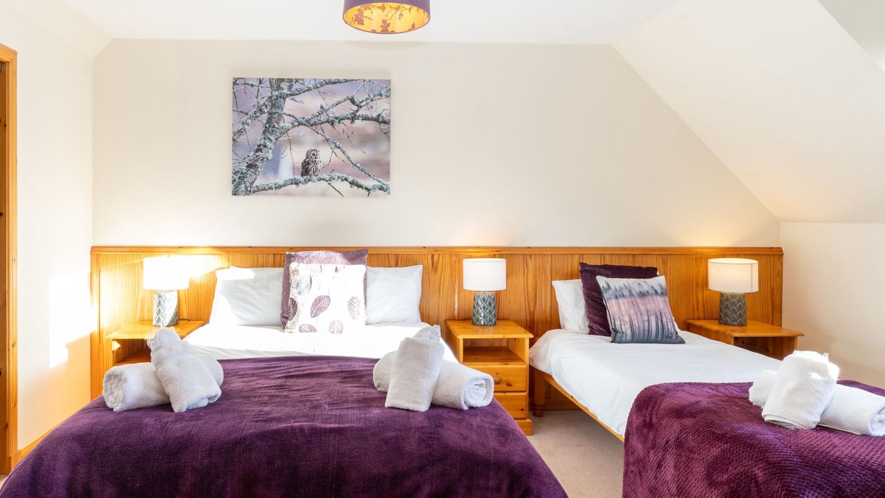 Photo of Others in Aviemore