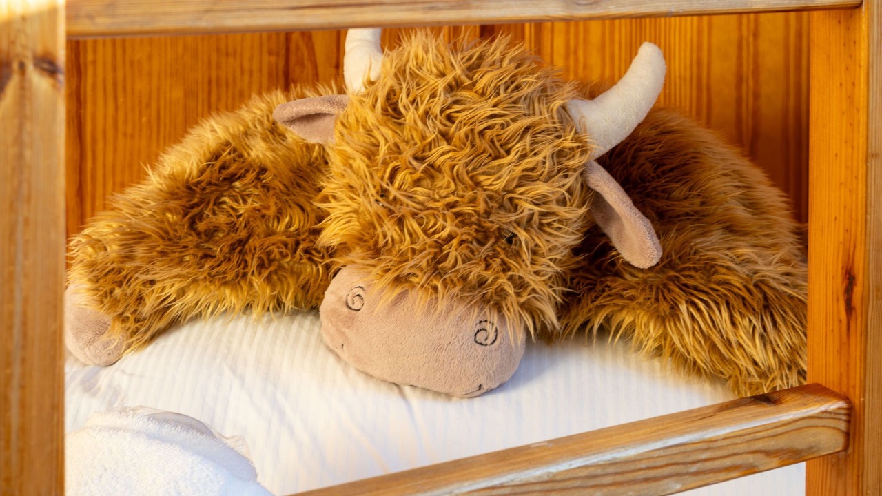 Photo of Others in Aviemore